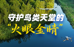 守护鸟类天堂的“火眼金睛” 立足白洋淀生态保护，雄安新区加码科技手段建立鸟类保护中心，以科技为“翼”，为“鸟类天堂”在线助力。